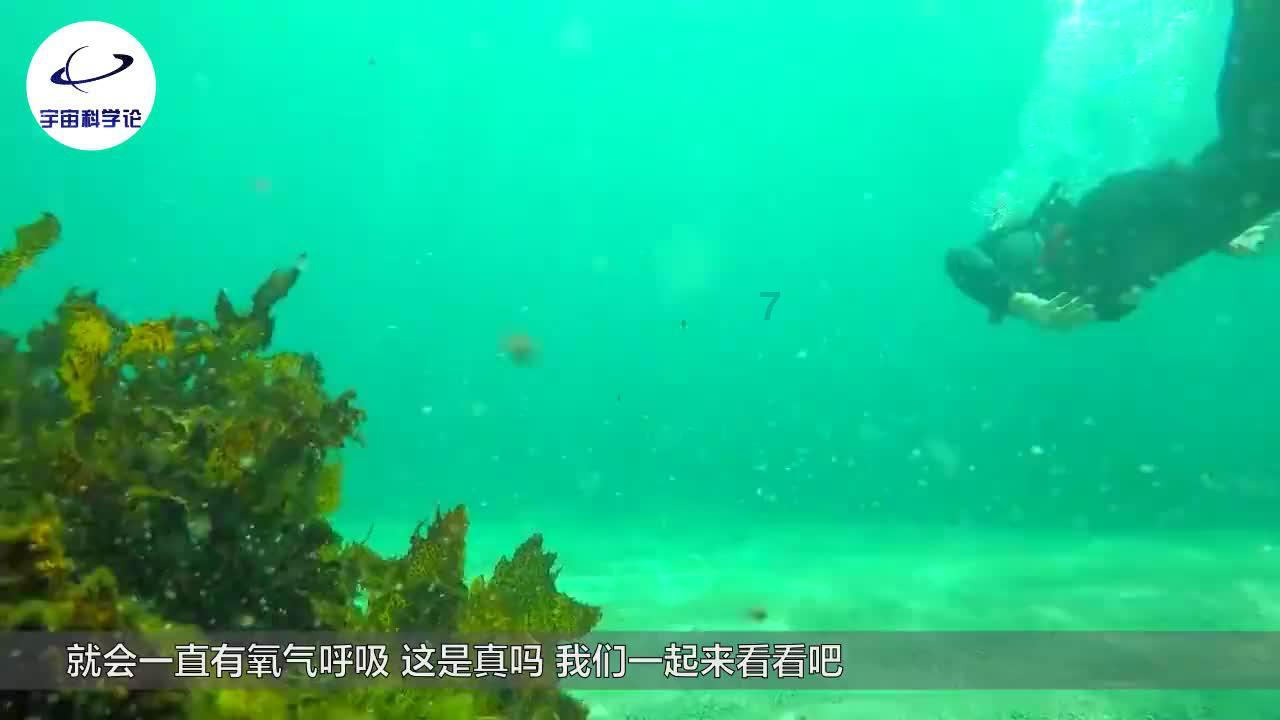 大姐在公司附近卖工作餐,2小时内就卖光,只因“这点”做得好!