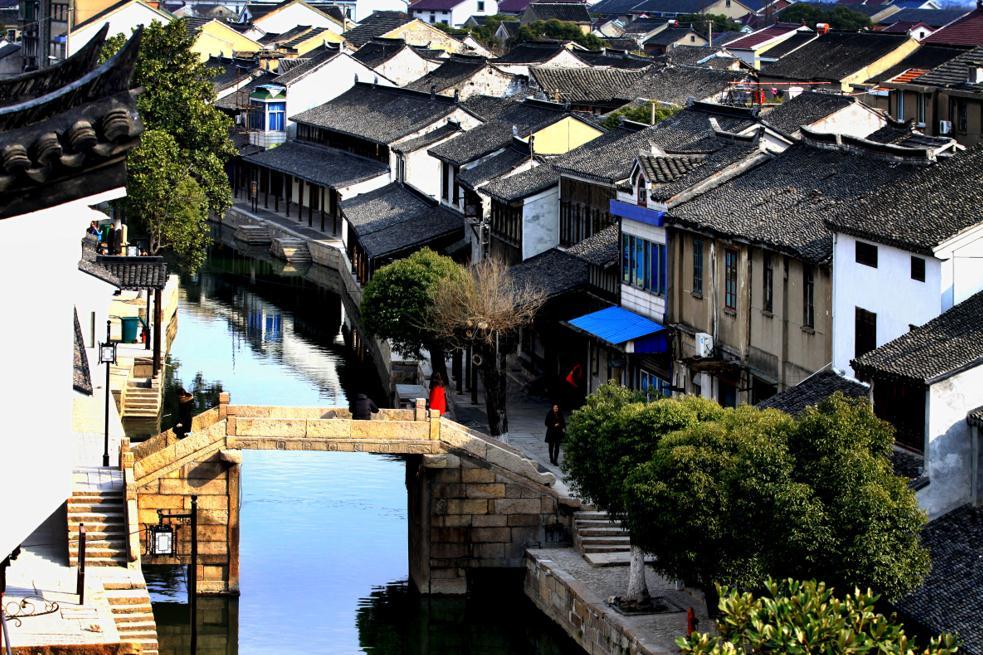月季花得了什么病？怎么解决？游戏画面