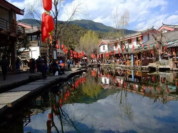 米乐米可森林大冒险